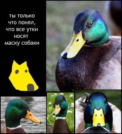 http://upforme.ru/uploads/0010/04/81/548-3-f.jpg