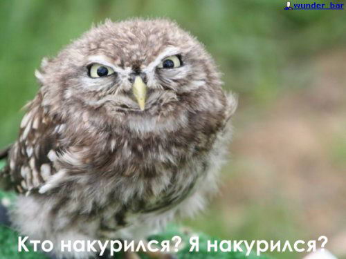 http://upforme.ru/uploads/0010/04/81/812-3-f.jpg