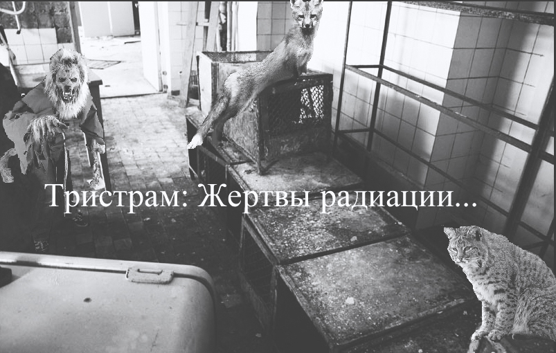 http://upforme.ru/uploads/0010/04/d4/49-1-f.jpg