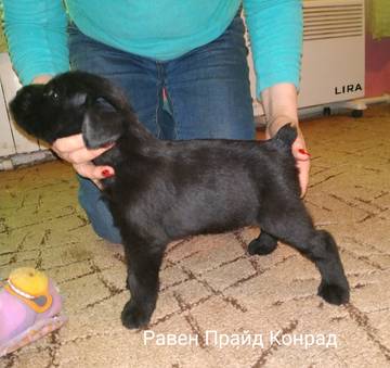http://upforme.ru/uploads/0010/08/85/517/t316528.jpg