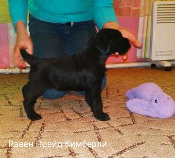 http://upforme.ru/uploads/0010/08/85/517/t955700.jpg