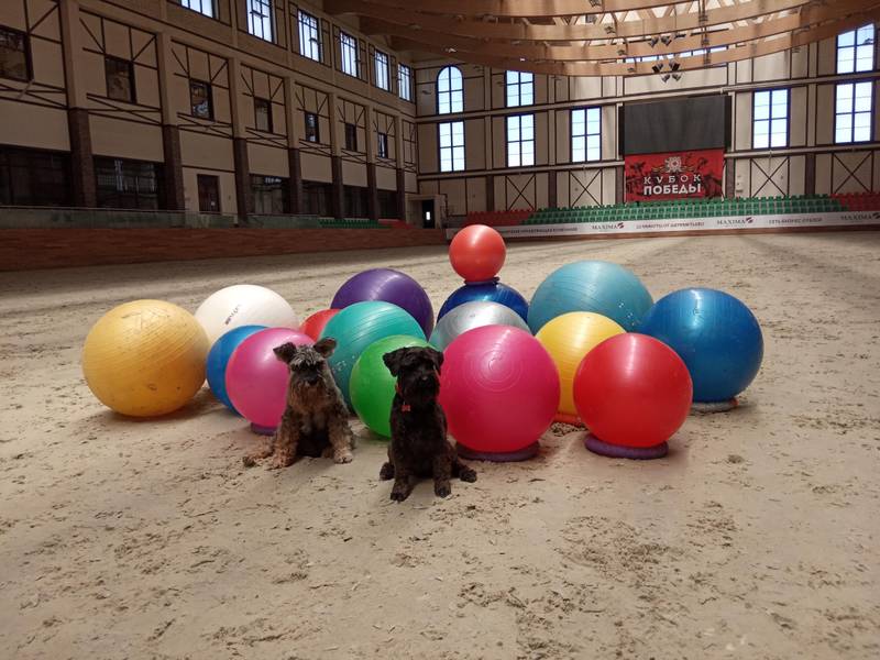 http://upforme.ru/uploads/0010/0a/de/3/137143.jpg