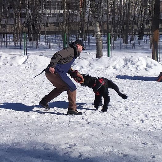 http://upforme.ru/uploads/0010/0a/de/3/216185.jpg