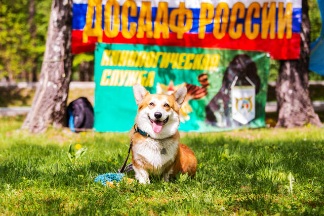 http://upforme.ru/uploads/0010/0a/de/3/311175.jpg