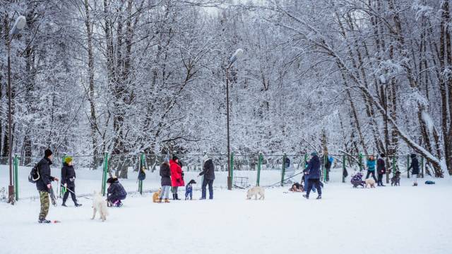 http://upforme.ru/uploads/0010/0a/de/3/32922.jpg