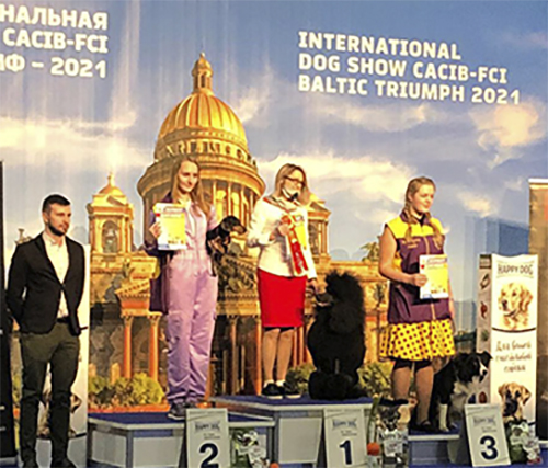 http://upforme.ru/uploads/0010/0a/de/3/486518.jpg