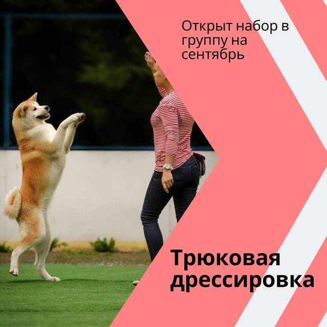 http://upforme.ru/uploads/0010/0a/de/3/740014.jpg