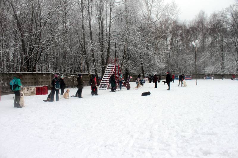 http://upforme.ru/uploads/0010/0a/de/3/85645.jpg