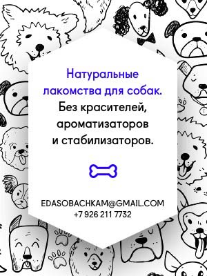 http://upforme.ru/uploads/0010/0a/de/3/98003.jpg
