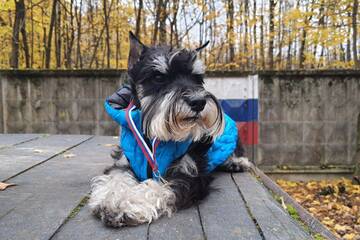 http://upforme.ru/uploads/0010/0a/de/3/t129064.jpg
