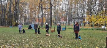 http://upforme.ru/uploads/0010/0a/de/3/t198540.jpg