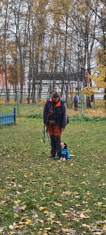 http://upforme.ru/uploads/0010/0a/de/3/t591921.jpg