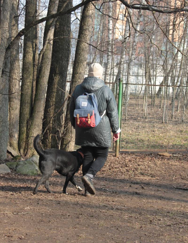 http://upforme.ru/uploads/0010/0a/de/583/10327.jpg