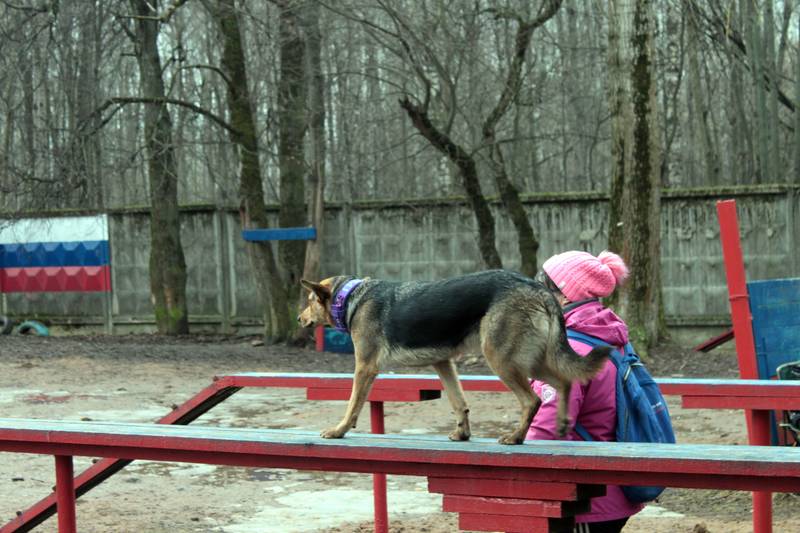 http://upforme.ru/uploads/0010/0a/de/583/11333.jpg
