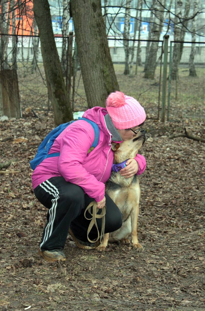 http://upforme.ru/uploads/0010/0a/de/583/14026.jpg