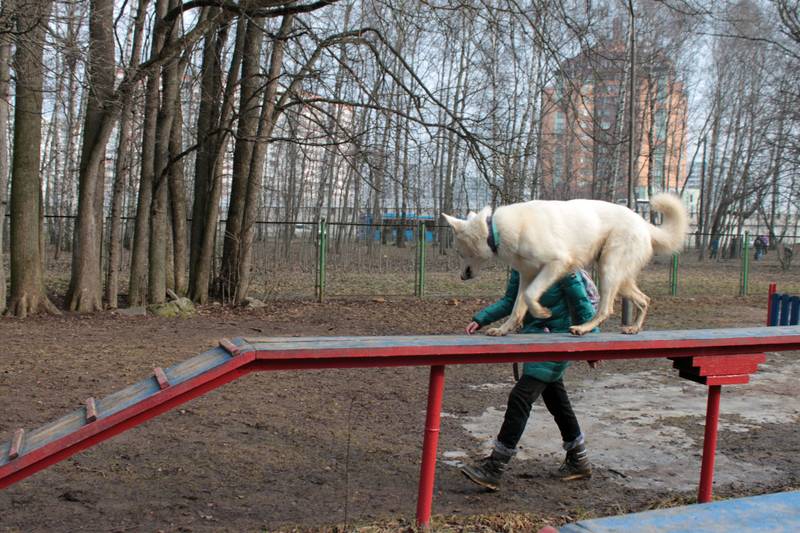 http://upforme.ru/uploads/0010/0a/de/583/14789.jpg