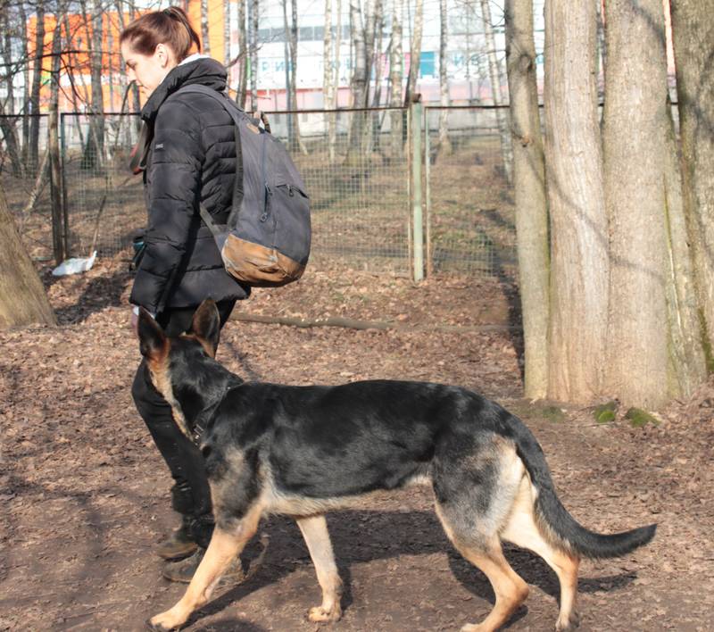 http://upforme.ru/uploads/0010/0a/de/583/16975.jpg