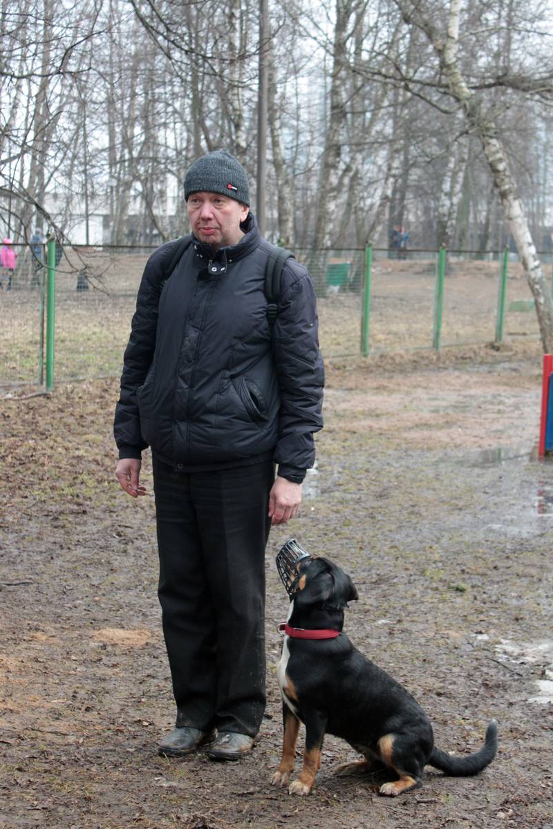 http://upforme.ru/uploads/0010/0a/de/583/22113.jpg