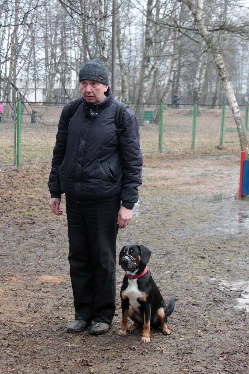 http://upforme.ru/uploads/0010/0a/de/583/27499.jpg