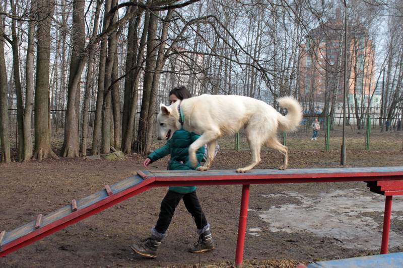 http://upforme.ru/uploads/0010/0a/de/583/36236.jpg