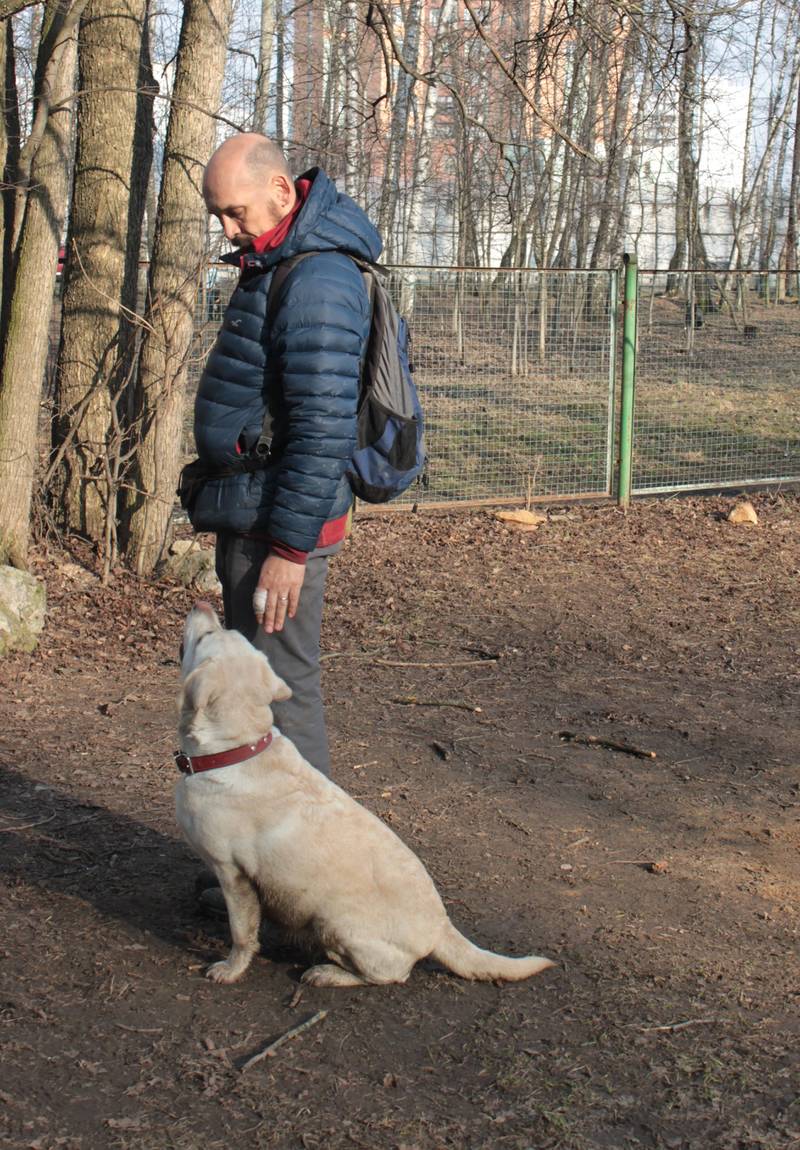 http://upforme.ru/uploads/0010/0a/de/583/39857.jpg