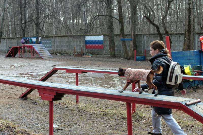 http://upforme.ru/uploads/0010/0a/de/583/44037.jpg