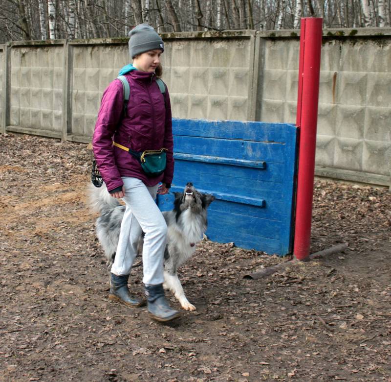 http://upforme.ru/uploads/0010/0a/de/583/47929.jpg