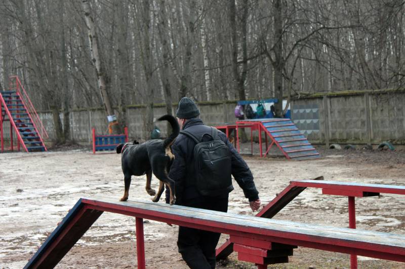 http://upforme.ru/uploads/0010/0a/de/583/48946.jpg