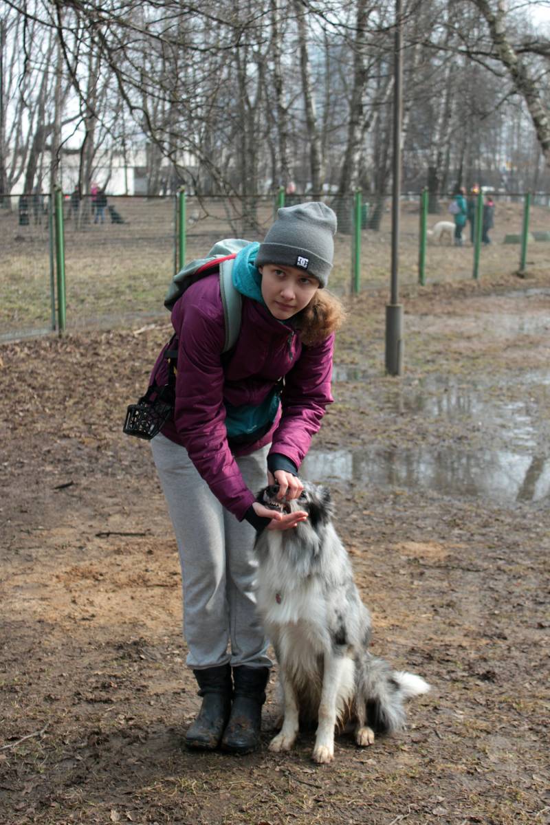 http://upforme.ru/uploads/0010/0a/de/583/54857.jpg