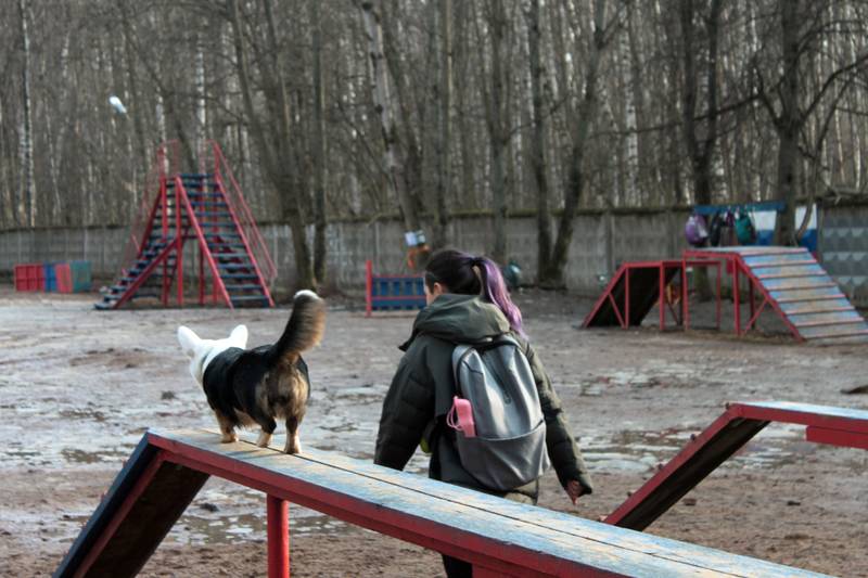 http://upforme.ru/uploads/0010/0a/de/583/58990.jpg