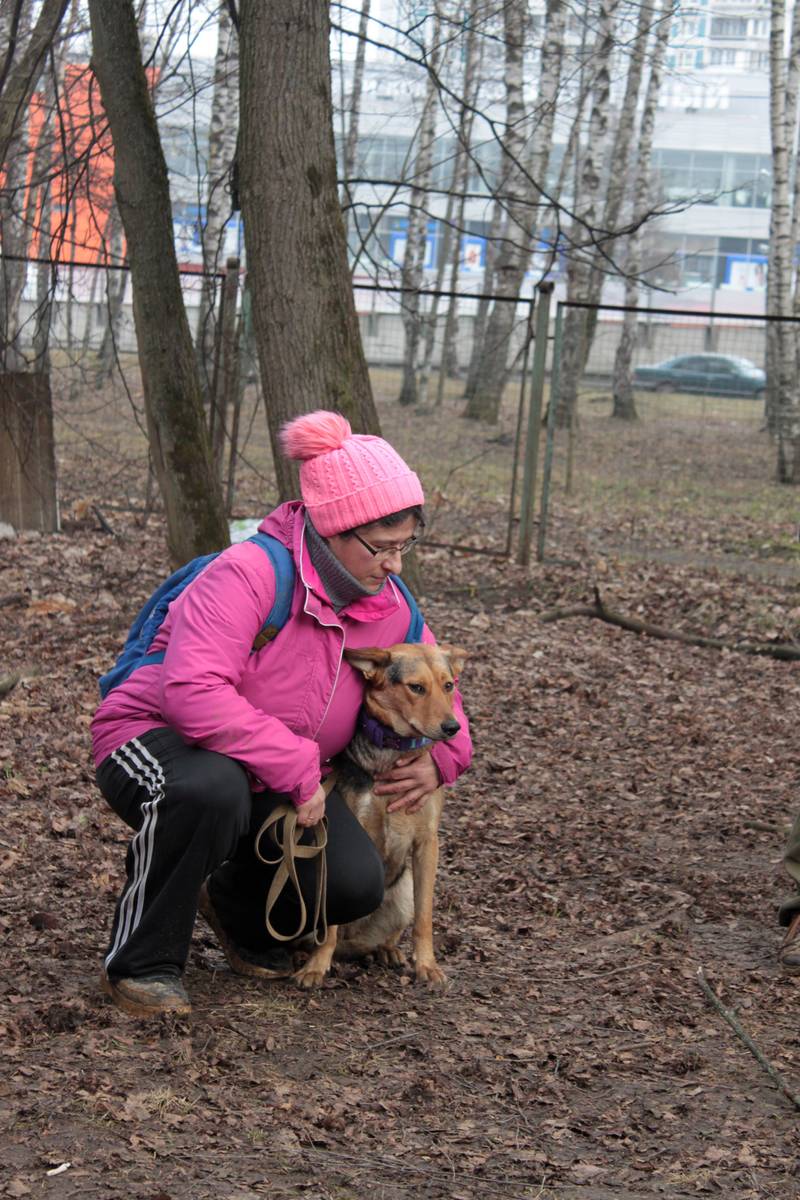 http://upforme.ru/uploads/0010/0a/de/583/59109.jpg