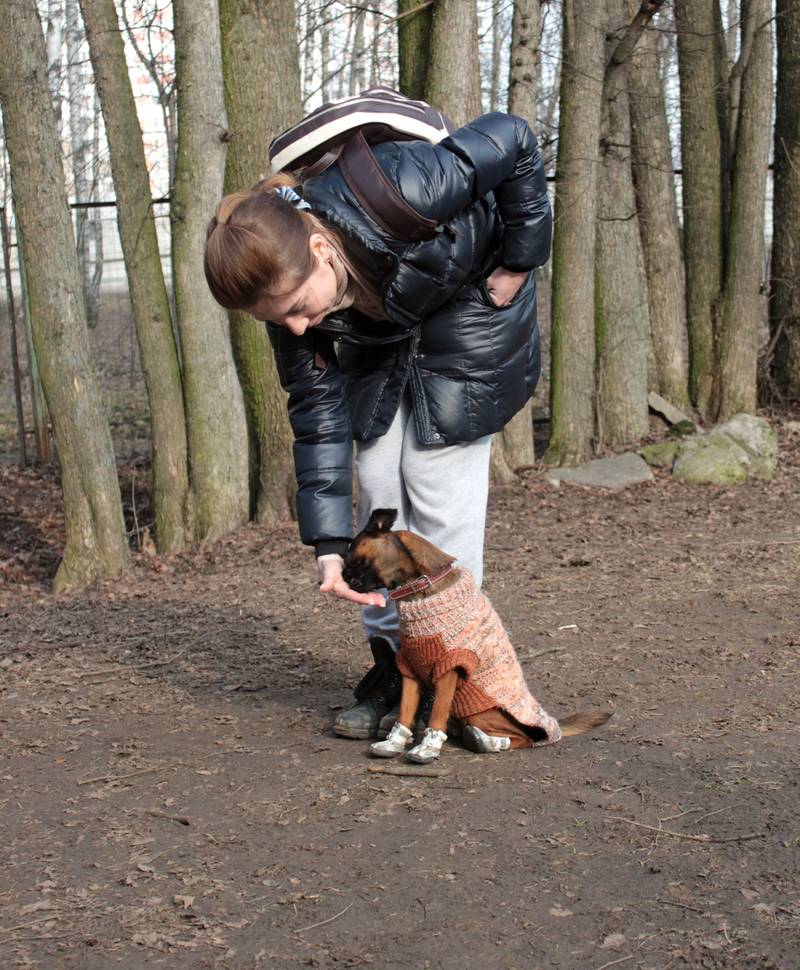 http://upforme.ru/uploads/0010/0a/de/583/76773.jpg