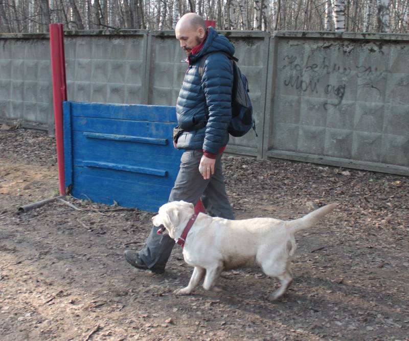 http://upforme.ru/uploads/0010/0a/de/583/97174.jpg