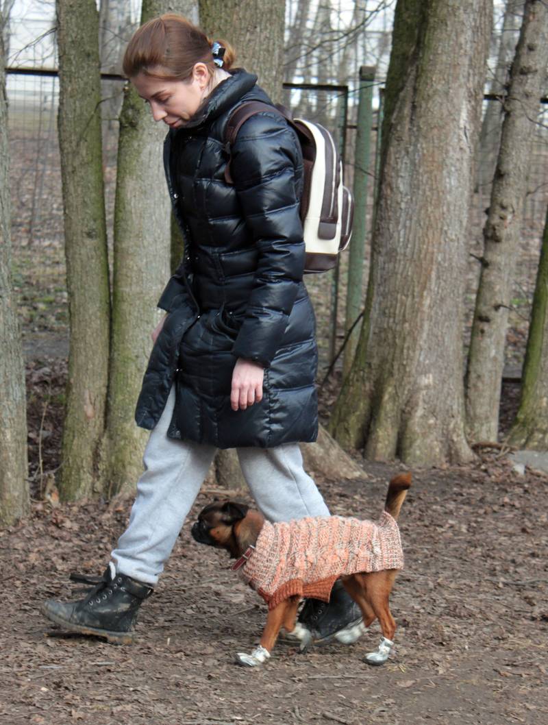http://upforme.ru/uploads/0010/0a/de/583/98996.jpg