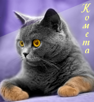http://upforme.ru/uploads/0010/26/cc/42-1.png