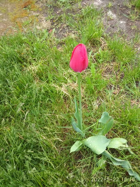http://upforme.ru/uploads/0010/2b/7f/198/178155.jpg