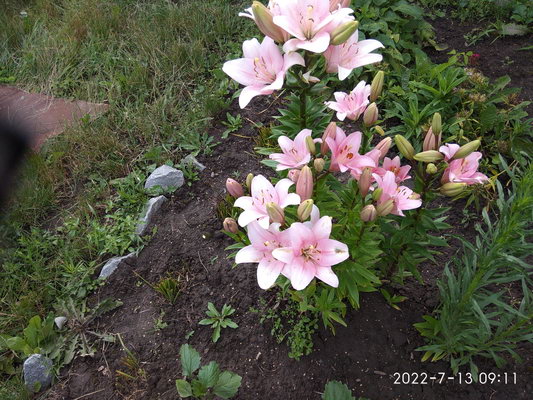 http://upforme.ru/uploads/0010/2b/7f/198/184574.jpg