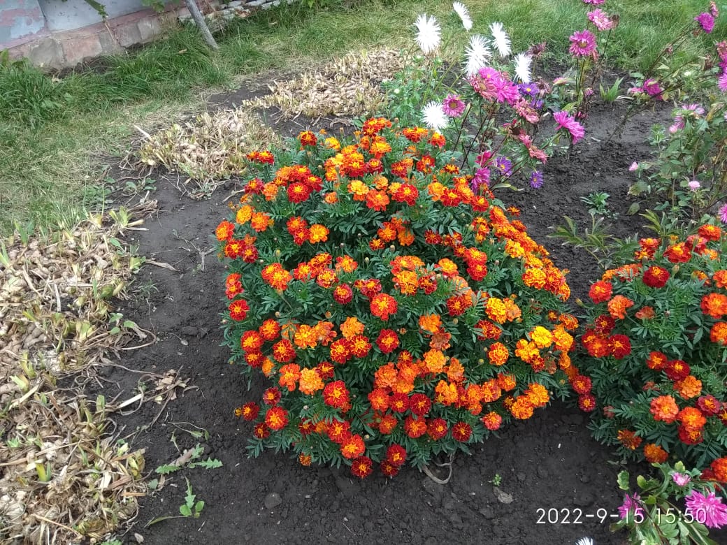 http://upforme.ru/uploads/0010/2b/7f/198/199642.jpg