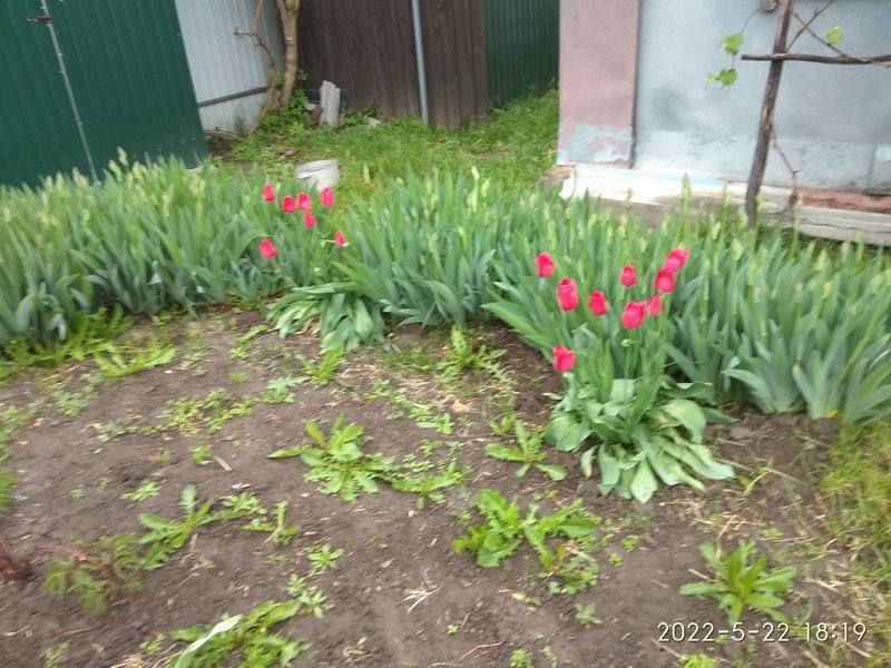http://upforme.ru/uploads/0010/2b/7f/198/339636.jpg