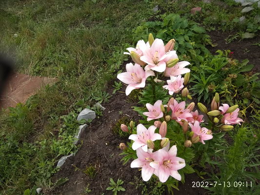 http://upforme.ru/uploads/0010/2b/7f/198/346526.jpg