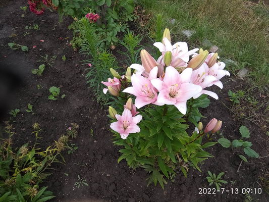 http://upforme.ru/uploads/0010/2b/7f/198/382106.jpg