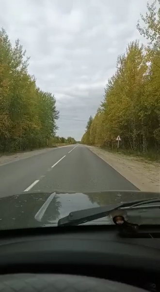 http://upforme.ru/uploads/0010/2b/7f/198/440444.jpg