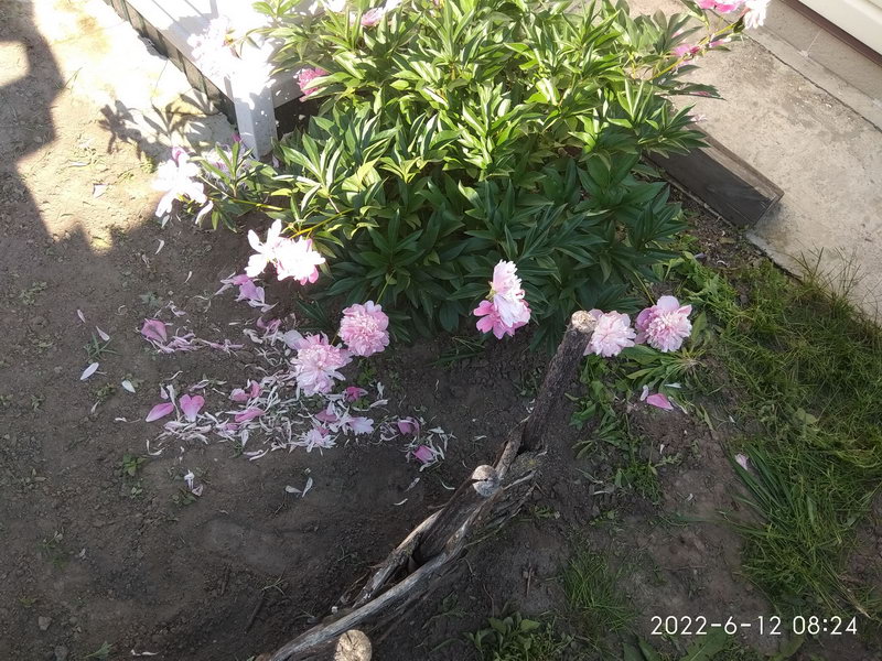 http://upforme.ru/uploads/0010/2b/7f/198/52213.jpg