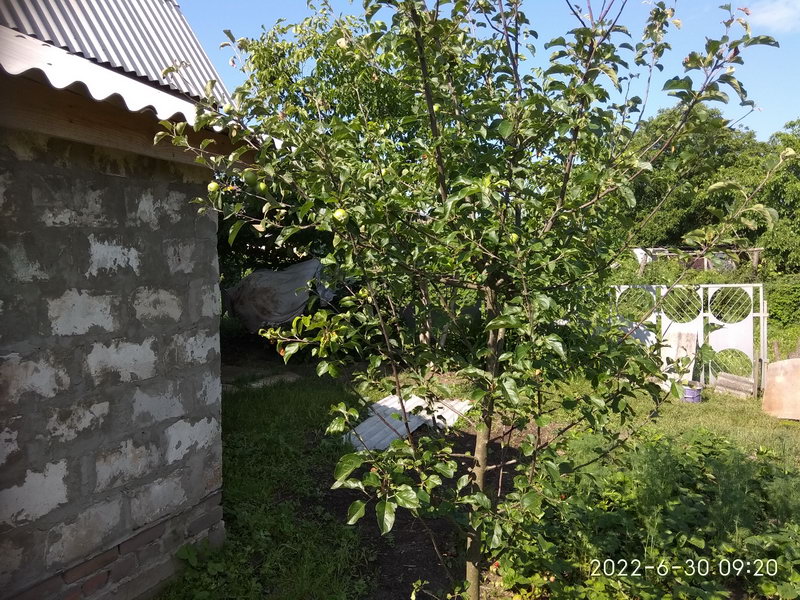 http://upforme.ru/uploads/0010/2b/7f/198/710792.jpg