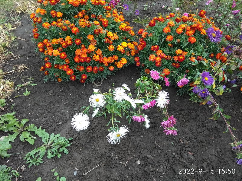 http://upforme.ru/uploads/0010/2b/7f/198/720859.jpg
