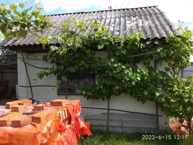 http://upforme.ru/uploads/0010/2b/7f/198/871679.jpg