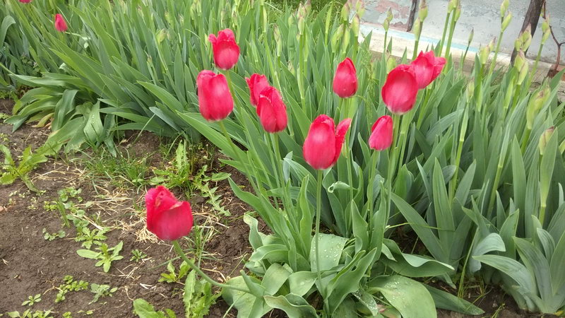 http://upforme.ru/uploads/0010/2b/7f/198/911021.jpg