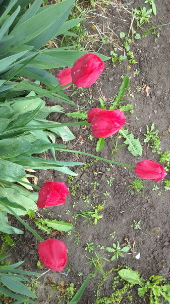 http://upforme.ru/uploads/0010/2b/7f/198/911578.jpg