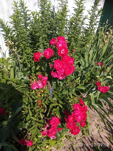 http://upforme.ru/uploads/0010/2b/7f/198/935156.jpg