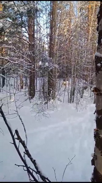 http://upforme.ru/uploads/0010/2b/7f/2/134543.jpg